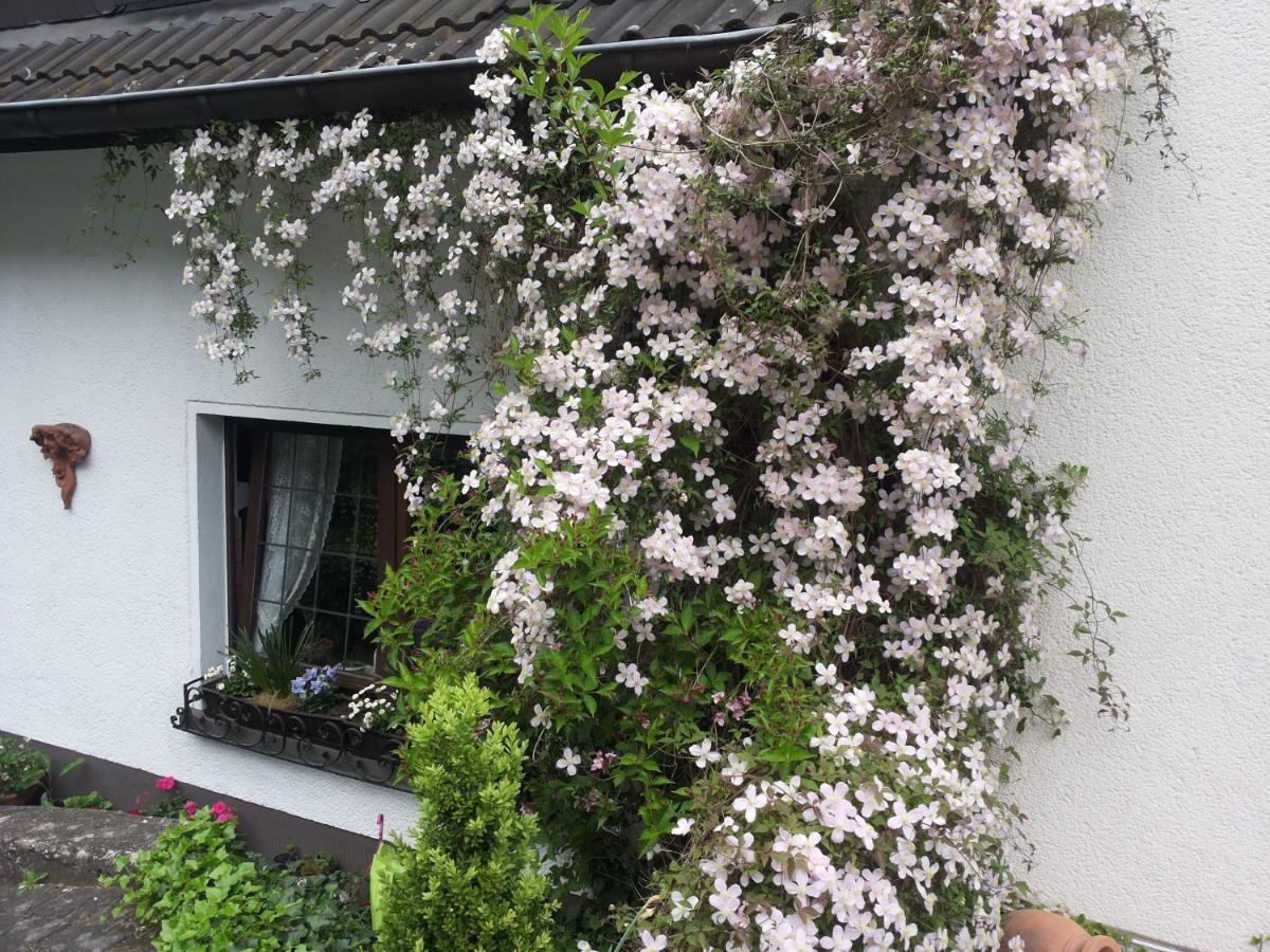 Gaestezimmer Am Huestert Adenau Exterior photo